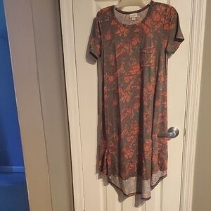 LuLaRoe Carly Dress